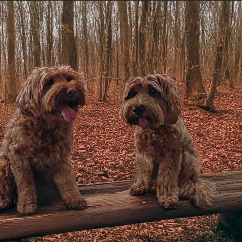 Foto van Lucie x Louis