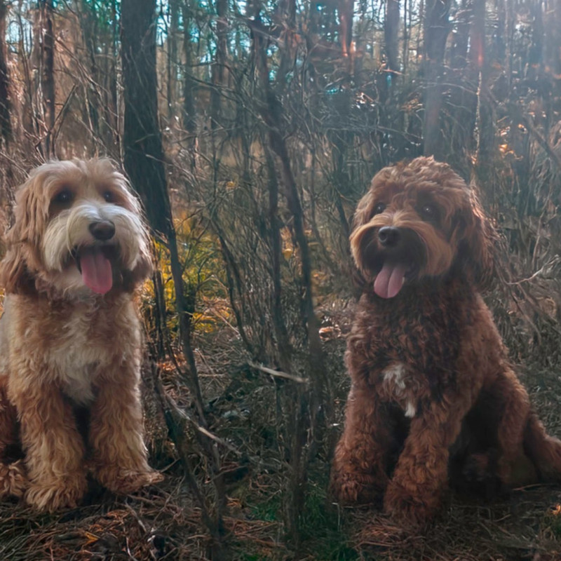 Foto van Juultje x Jamie